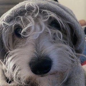 Meet your Posher, Damian